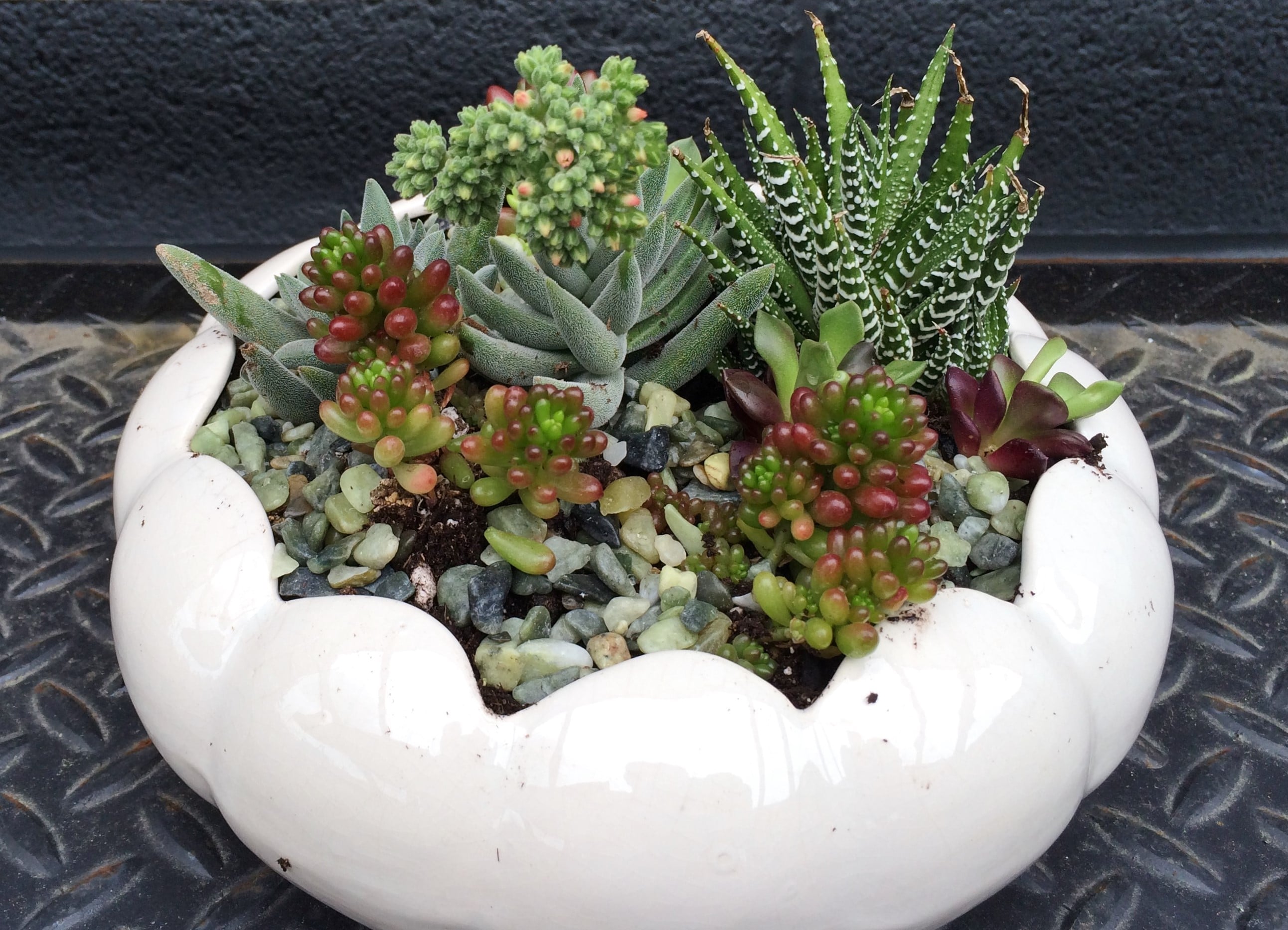 Containers & Terrariums gallery image