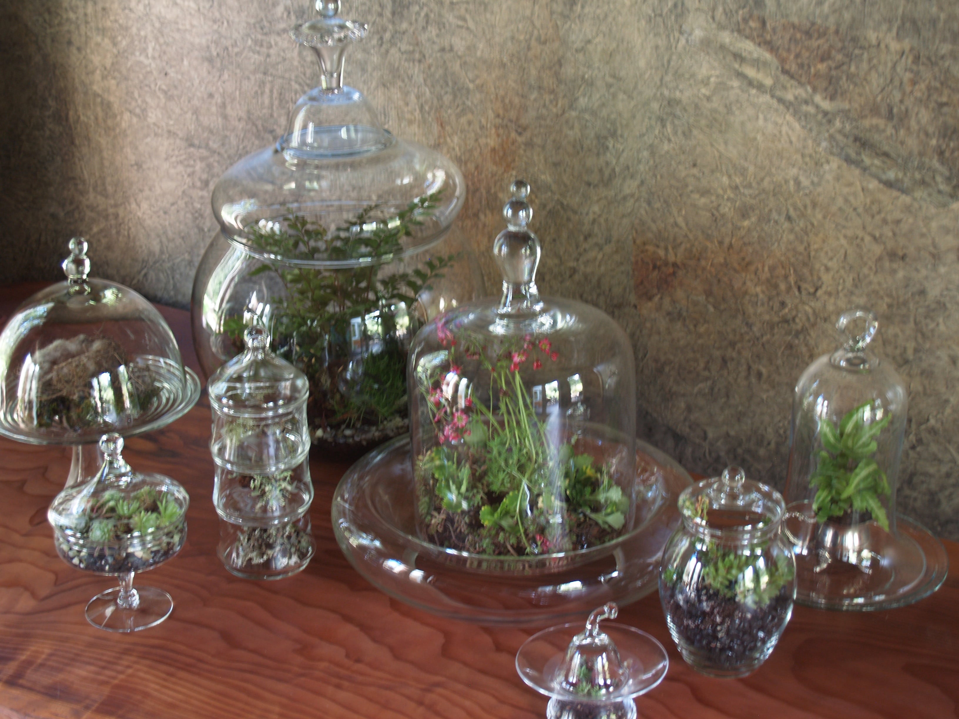 Containers & Terrariums gallery image