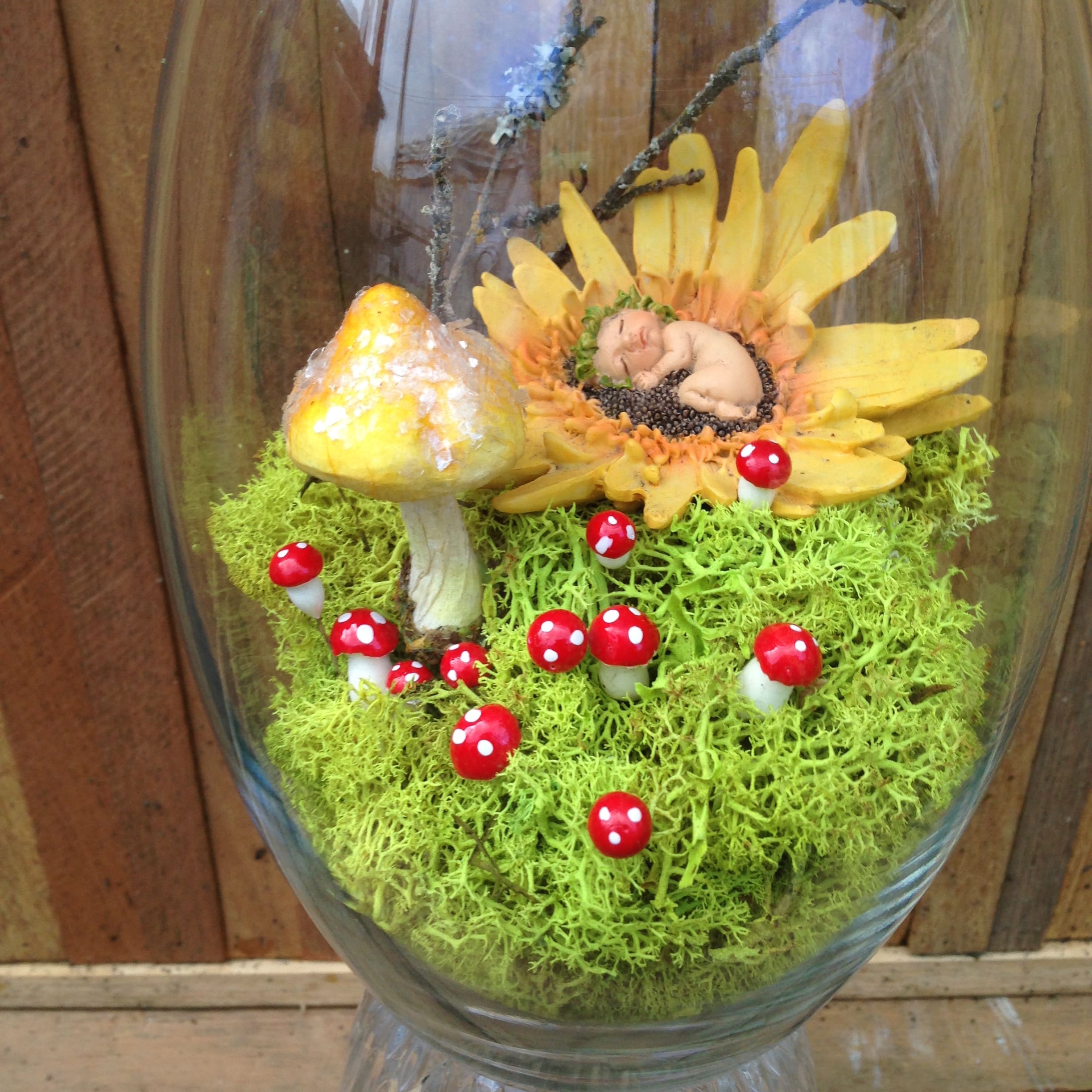 Containers & Terrariums gallery image