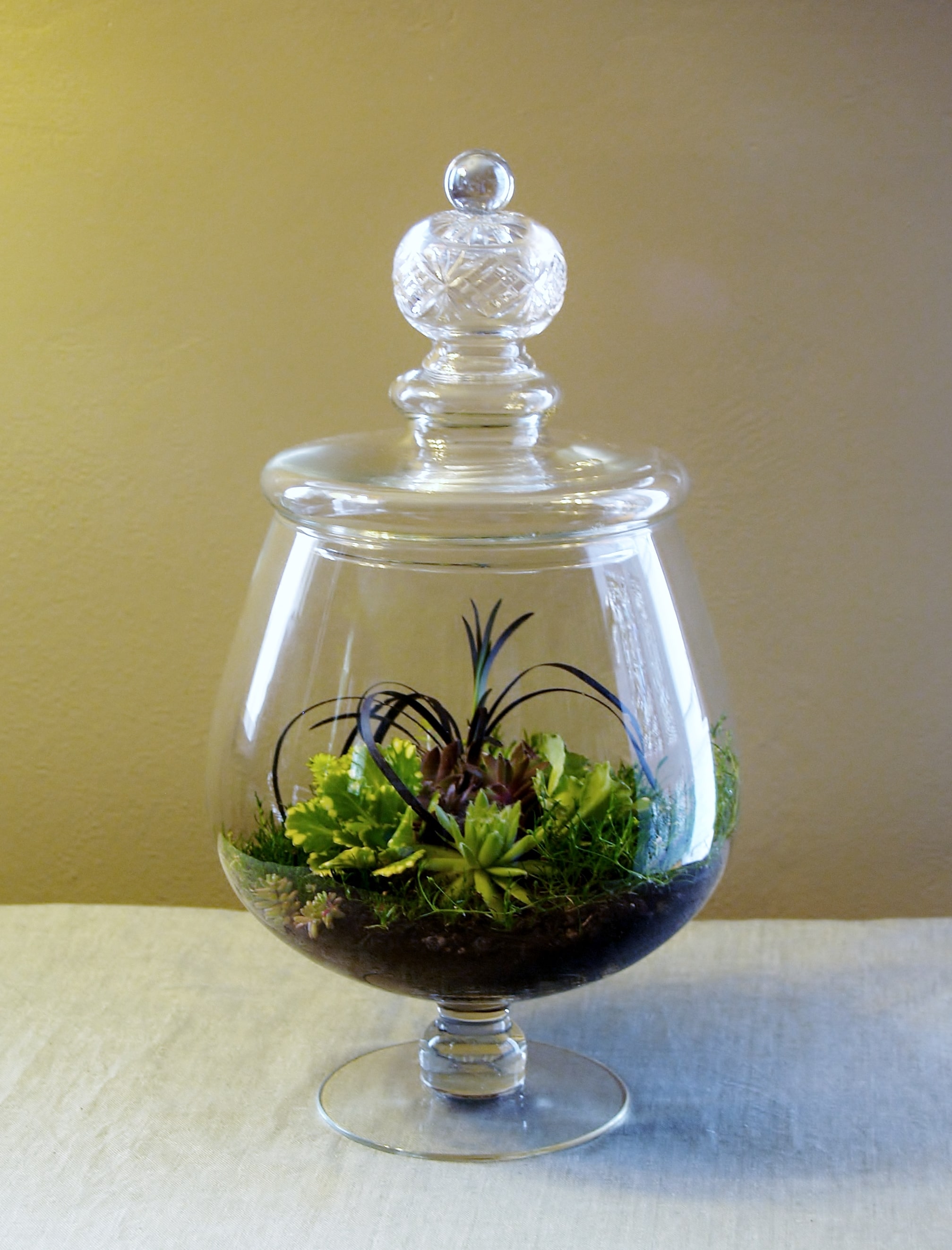 Containers & Terrariums gallery image