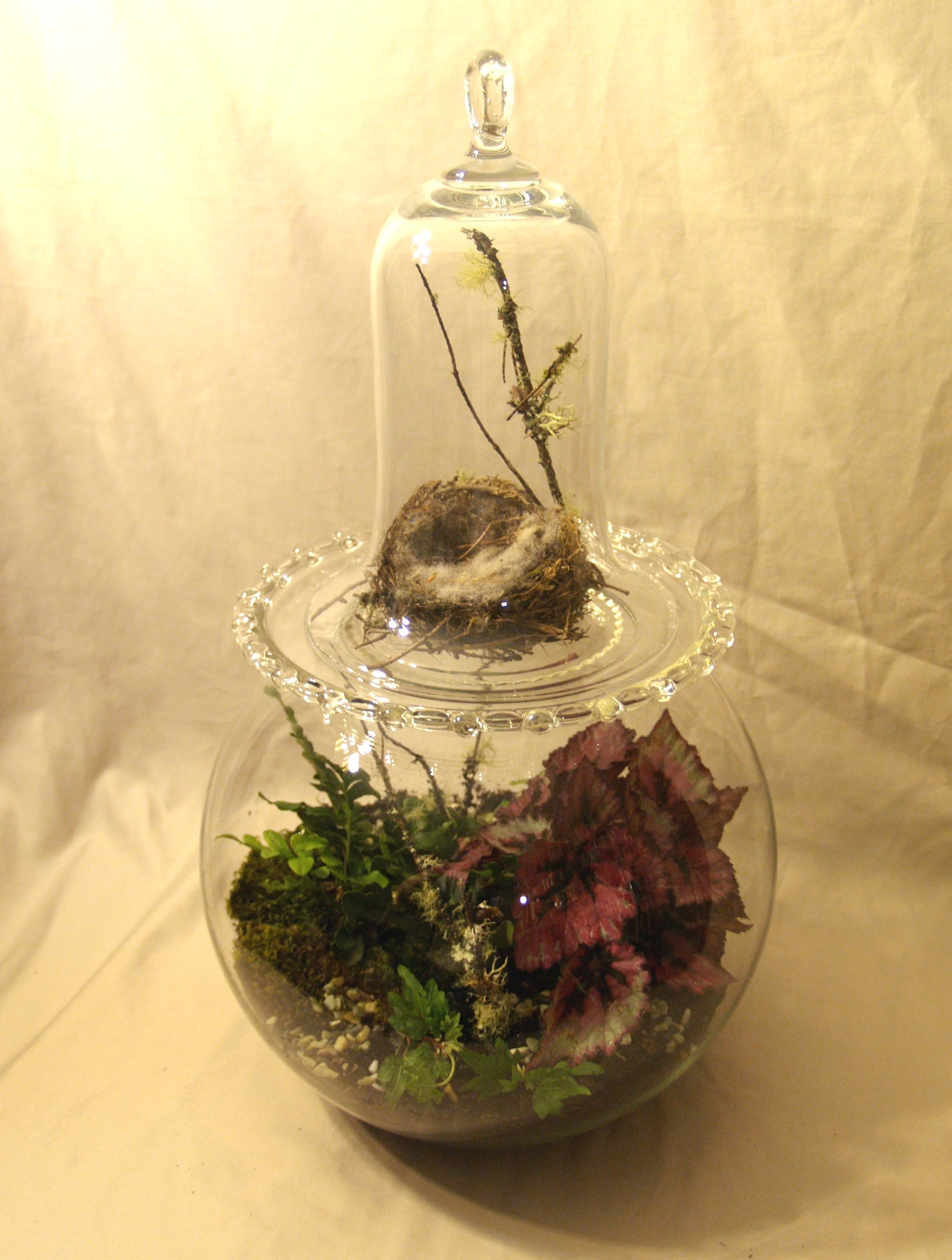 Containers & Terrariums gallery image